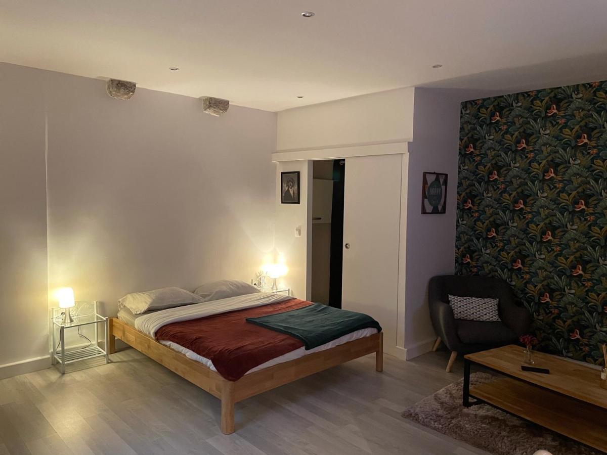 شقة Le Relais Du Petit Lion بلْوا المظهر الخارجي الصورة